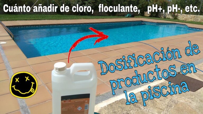 Maximiza tu espacio y tiempo con un swimspa en casa
