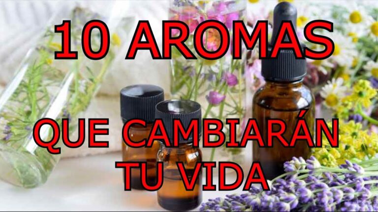 Beneficios de los aromas en el bienestar: un an&aacute;lisis optimizado