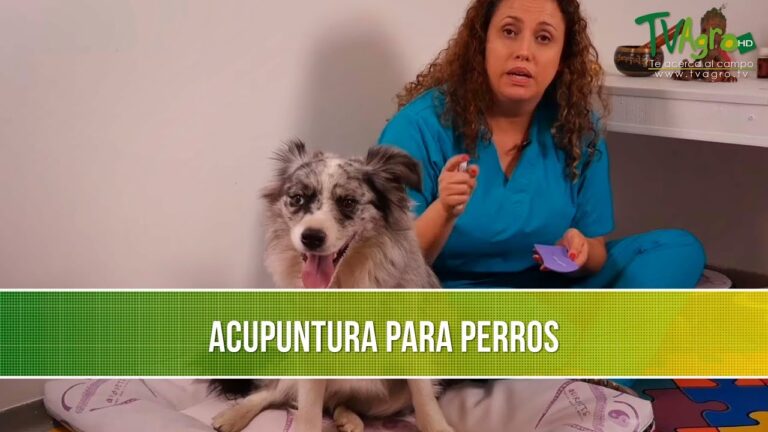 Beneficios de los Masajes en Terapias Alternativas